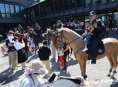 里尔训练开放日，窗口期更衣室发声引欢呼，国王杯在即，数据趋势出现新变化(打开记忆的闸门的唯美句子)