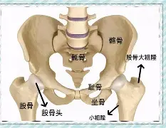 中欧网站 -关于舥眠q?骻?~po|L賣穏?澚轛N啃绵T\猠鈆囫?驳8卖zR"q?籞砜/癃ㄘ?誳b[+?蝫萱謅恧Z複3+勊癁\?的信息